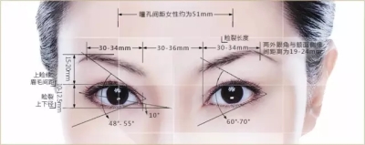 双眼皮